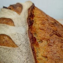 Brood