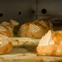 Kaasbrood